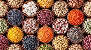 栄養満点な豆は種類も豊富！～豆の特徴を知って使い分けを楽しもう～ | VEGAN子育て